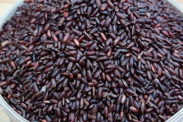 இந்த கருப்பு அரிசியை சாப்பிட்டால் நீரிழிவு நோய் வாழ் நாளில் வராது! கையில் தொடவே கூடாத அரிசி எது தெரியுமா?