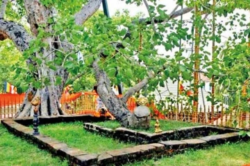 පරම්පරා ගණනාවක් පැවත එන ශ්‍රී මහා බෝධි වත්පිළිවෙත් යුනෙස්කෝ ලෝක උරුමයක් කිරීමට සැරසෙයි