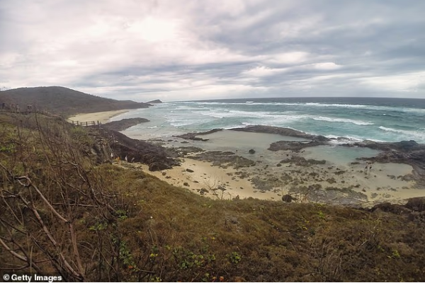 வெளிநாடொன்றில் சுயநினைவின்றிக் கிடந்த கனேடிய இளம்பெண்... சூழந்து நின்ற காட்டு நாய்கள் | Canadian Women Body Found Surround By Dingoes