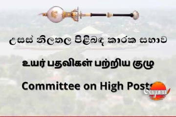 රජයේ උසස්වීම් කිහිපයක් ගැන ලැබුණු ආරංචිය