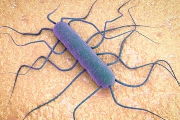 உணவுப்பொருள் ஒன்று தொடர்பில் பிரித்தானியர்களுக்கு ஒரு அவசர எச்சரிக்கை