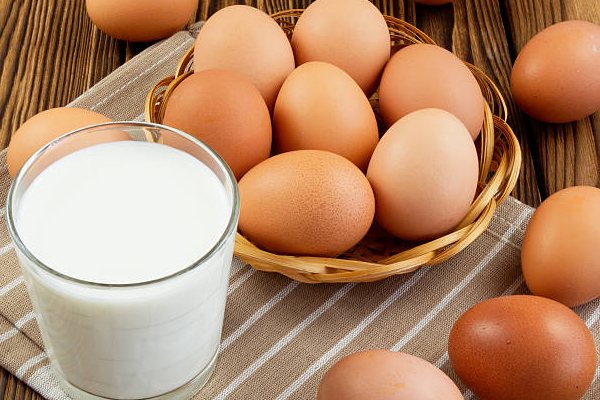 நாடாளுமன்ற உணவறையில் பால் மற்றும் முட்டைக்கு தட்டுப்பாடு | Shortage Of Milk And Eggs In Parliament Canteen