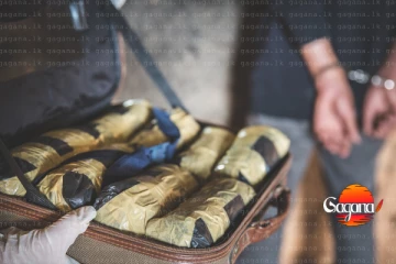 මෙන්න කටුනායක ගුවන් තොටුපළෙන් මතුවුණ දේ දෙන්නෙක් මාට්ටු