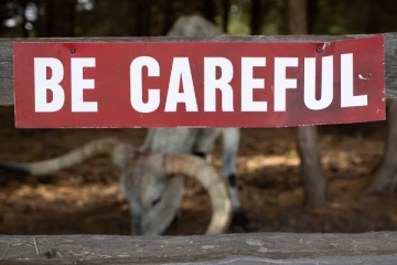 මේ දිනවල පාරට බහිද්දී පරිස්සමෙන්.