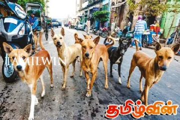 மோடியின் வருகைக்கு முன்னர் விலங்கு உரிமை ஆர்வலர்கள் நடத்தியுள்ள போராட்டம்