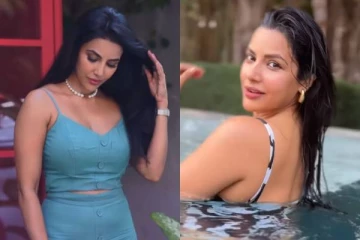 நீச்சல் குளத்தில் ஹாயாக ஒரு வீடியோ!! நடிகை பிரியா ஆனந்த்..