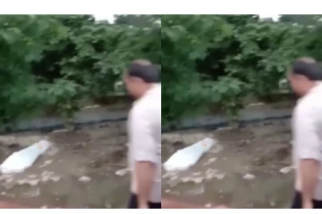 நடுரோட்டில் ரொம்ப நேரமாக கிடந்த பிணம் - சோதனையில் அதிர்ச்சி அடைந்த அதிகாரிகள் - வைரலாகும் வீடியோ