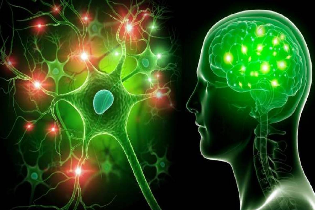 பக்கவாதத்தை தடுக்க ஜப்பானியர்கள் பின்பற்றும் எளிய வழி... வெறும் 15 நிமிடம் போதும்! | 15 Minute Japanese Ritual Reduce Risk Of Stroke