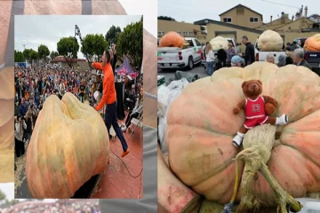 கின்னஸ் சாதனை படைத்த பூசணிக்காய்