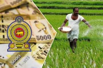 உர கொள்வனவுக்காக அரசாங்கம் செலுத்திய பாரிய நிலுவைத் தொகை