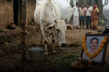 உரிமையாளர் உயிரிழப்பு ; 15 நாட்களாக அன்ன ஆகாரம் இன்றி வாடும் ஐந்தறிவு ஜீவன்