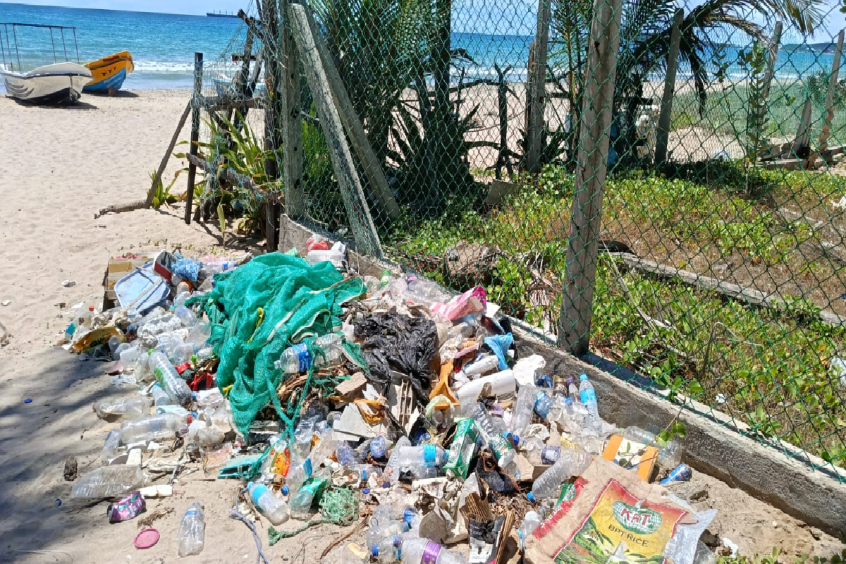 குப்பைகளால் நாறும் திருகோணமலை அலஸ்தோட்டம்! | Alas Thottam In Trincomalee Reeks Of Garbage