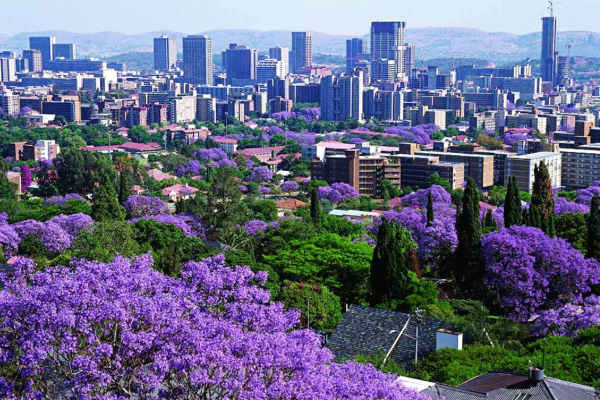 உலகில் 3 தலைநகரங்களை கொண்ட ஒரே நாடு - எது தெரியுமா? | Why South Africa Is Only Country With 3 Capitals