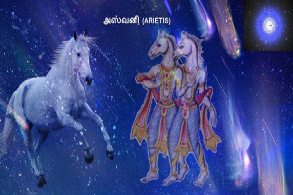 இந்த நட்சத்திரத்தில் பிறந்தவரா நீங்க? 40 வயதுக்கு பின் ராஜ வாழ்க்கை உறுதி! | These Nakshatras Men Are Going To Rich Atrer 40