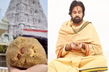 திருப்பதி லட்டு விவகாரம் - பாவத்தை போக்க பவன் கல்யான் அதிரடி முடிவு