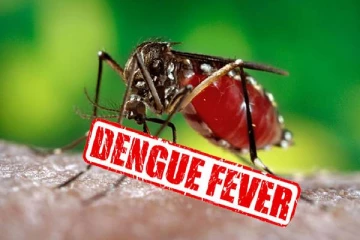 வவுனியாவில் அதிகரித்துள்ள டெங்கு நோயாளர்கள்: 100 இடங்களில் டெங்கு நுளம்புகள் பெருகும் அபாயநிலை