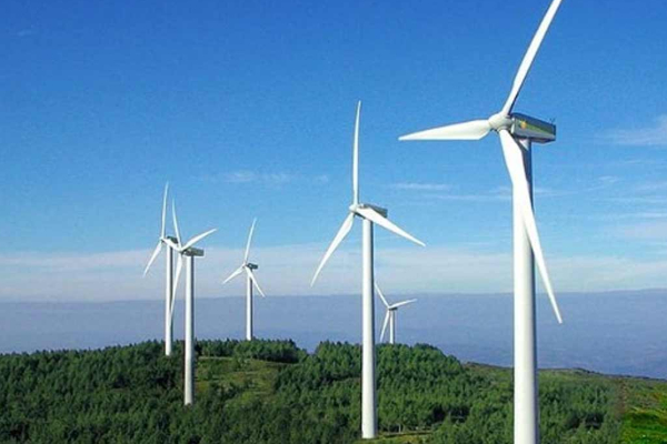 மன்னார் காற்றாலை குறித்து ஜனாதிபதியிடம் மக்கள் கோரிக்கை | Request The President Regarding Mannar Wind Farm