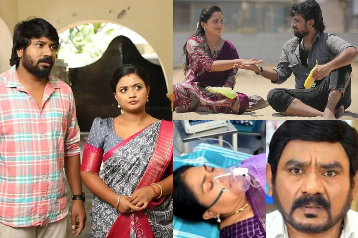 விஜய் டிவியின் டாப் 5 சீரியல்கள் TRP.. முதலிடத்தில் எந்த சீரியல் தெரியுமா? | Vijay Tv Serial 12 Week Trp Rating