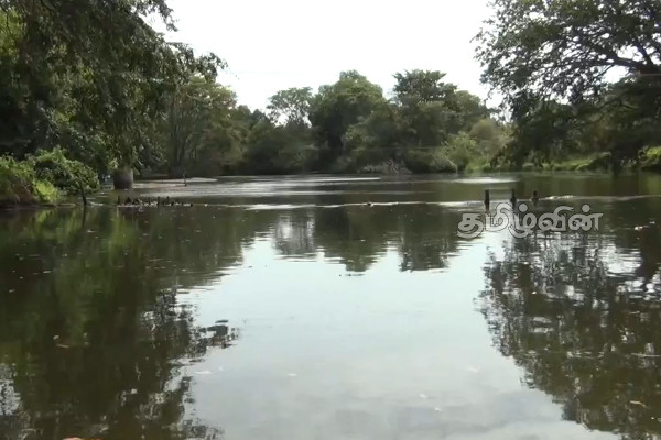 கடும் வறட்சியால் வில்பத்து சரணாலய விலங்குகள் பாதிப்பு | Animals Birds In Wilpattu National Park Effected