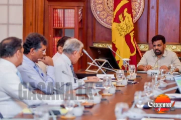 ශ්‍රී ලංකන් එකෙන් ගසා කෑ සෙට් එක ළඟදිම ඇතුලට අනුරගෙන් විශේෂ කමිටුවක්