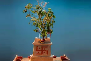 துளசி செடியில் இந்த சுவாமியின் சிலையை மட்டும் வைக்காதீர்கள்