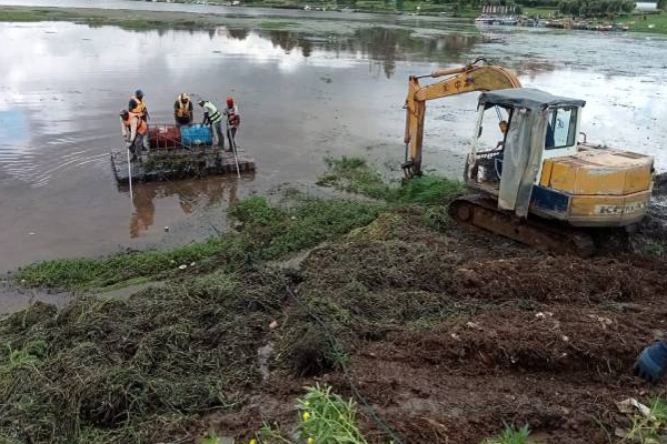 இலங்கையில் உள்ள குட்டி இங்கிலாந்தில் முன்னெடுக்கப்பட்டுள்ள அதிரடி நடவடிக்கை! | Sri Lanka Nuwara Eliya Tourists Cleaning Action