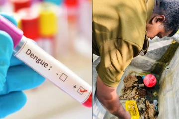 யாழில் தீவிர டெங்கு கட்டுப்பாட்டு நடவடிக்கை – சுகாதார அதிகாரிகள் அதிரடி பரிசோதனை