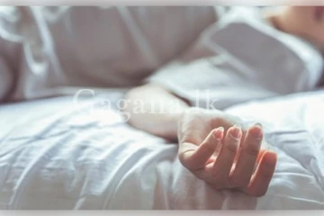 ඉල්ලු හාදුව නොදුන් නිසා කරපු අපරාධයක තරම..