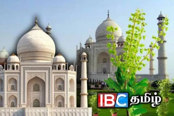 துளசி செடிகள் தாஜ்மஹாலில் ஏன் இருக்கின்றன : இந்த உண்மை உங்களுக்கு தெரியுமா?