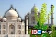 துளசி செடிகள் தாஜ்மஹாலில் ஏன் இருக்கின்றன : இந்த உண்மை உங்களுக்கு தெரியுமா?