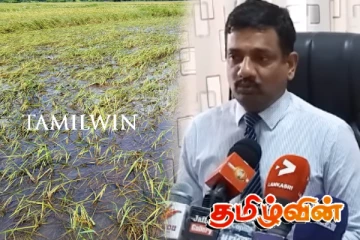 கிளிநொச்சியில் ஏற்பட்ட பயிர் அழிவு: மாவட்ட அரச அதிபர் நடவடிக்கை