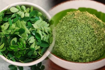 இரும்புசத்து நிறைந்த முருங்கை இலை துவையல்.., எப்படி செய்வது?