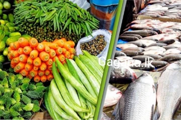 අද එළවළු මිල පහළ බසී..මාළු මිල ගණන් ඉහළ නගී..අලුත්ම මිල දර්ශකය මෙන්න..