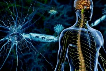 நரம்பியல் நோய்கள் ஏன் வருகிறது தெரியுமா? குணப்படுத்தும் வழிமுறைகள்..