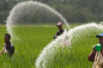 விவசாயிகளுக்கு ஓர் மகிழ்ச்சி தகவல் - இன்று முதல் புதிய நடைமுறை