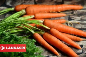 சுவையாக இருக்கும் கேரட்டை அடிக்கடி பச்சையாக சாப்பிட்டால் கிடைக்கும் நன்மைகள்