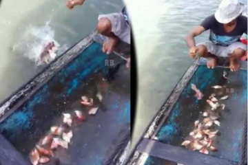 கொத்து கொத்தாக மீன்களை அள்ளும் இளைஞர்... ஒரே இடத்தில் அமர்ந்து என்ன செய்கின்றார்?