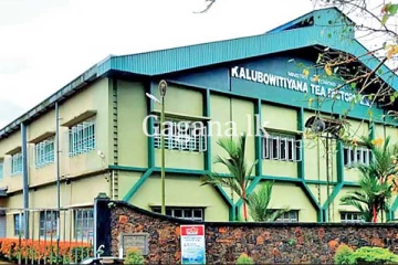 බිලියන දෙකක ආදායමක් ලබන කළුබෝවිටියාව තේ කර්මාන්තශාලාව.