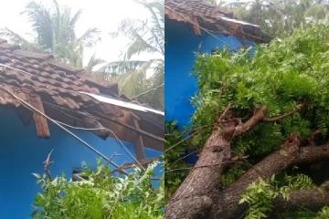 யாழில் பலத்த காற்றுடன் கூடிய மழை ; தூக்கி வீசப்பட்ட கூரைகள்