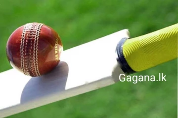 ක්‍රිකට් පාලක මණ්ඩලයේ සභාපතිත්වයට ඩයානා පත්කරයි..ඉතිහාසයේ ප්‍රථමවරට සිදු වූ දේ..