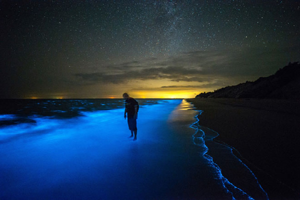 உலகில் இரவில் ஒளிரும் அற்புதமான இடங்கள் பற்றி தெரியுமா..! | Places That Glow In The Dark World