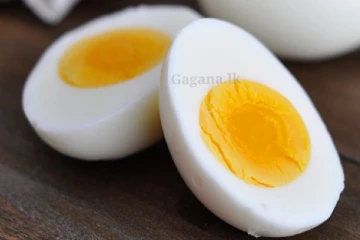බිත්තර කනවා නේද?. හොඳ තම්බලා ද?. බැදල ද?. ඇත්තටම කෑවට.. බිත්තර මෙහෙමයි කියලා දැනගෙන හිටිය ද?.