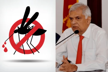 இலங்கையில் டெங்கு அபாயம்..! ரணிலின் அவசர பணிப்புரை