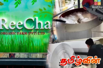 றீ(ச்)ஷா பேப்பர் நிறுவனத்தில் தொழில் வெற்றிடங்கள்! இளைஞர் யுவதிகளுக்கு புதிய வாய்ப்பு