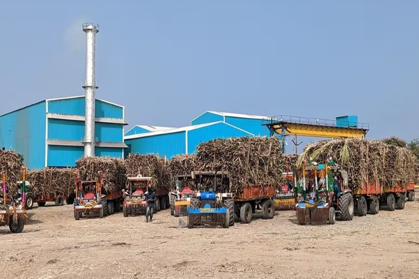 இறக்குமதிக்கு தயாராகும் உலகின் இரண்டாவது அதிக சர்க்கரை உற்பத்தி செய்யும் நாடு | World No2 Sugar Producer India May Need Imports