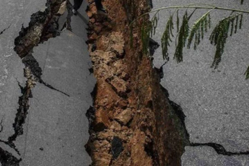 பீகாரில் 4.3 ரிக்டர் அளவில் ஏற்பட்ட நில அதிர்வு!