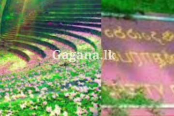 හොදම විශ්වවිද්‍යාලය බවට නැවතත් පත් වුන පේරාදෙණිය සරසවිය.