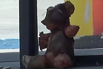 மனித தோலால் ஆன டெடி பொம்மை ; அமெரிக்காவை அதிர்ச்சியில் உறைய வைத்த சம்பவம்