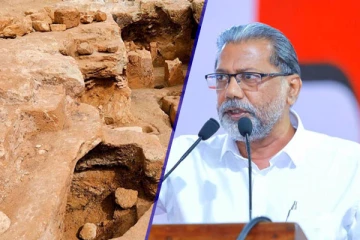 தொல்பொருளை சேதப்படுத்துவோருக்கு எதிராக சட்ட நடவடிக்கை: அமைச்சர் விதுர