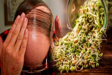 வழுக்கை தலையில் முடி முளைக்க வைக்கும் வெந்தயம்: எப்படி சாப்பிடணும் தெரியுமா?